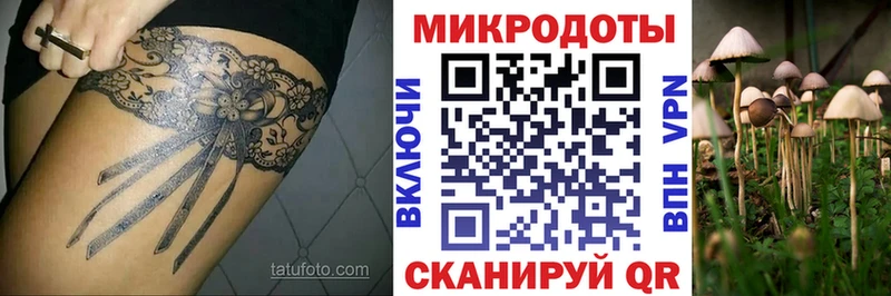 Псилоцибиновые грибы Psilocybe  Нововоронеж 
