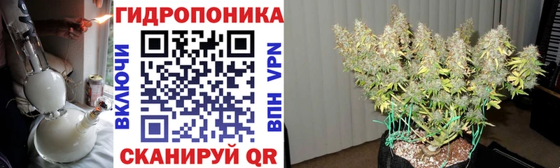 сколько стоит  Нововоронеж  Каннабис план 